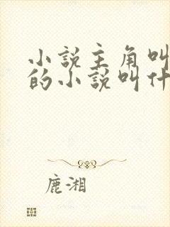 小说主角叫楚枫的小说叫什么名字