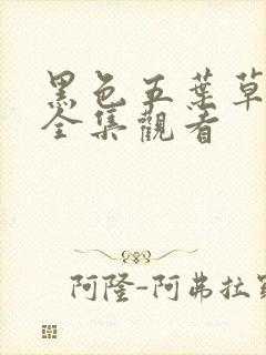 黑色五叶草动漫全集观看