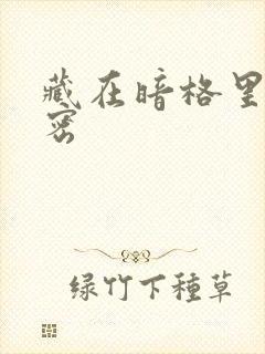 藏在暗格里的秘密