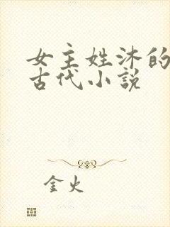 女主姓沐的重生古代小说