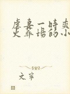 虐妻一时爽追妻火葬场的小说现言