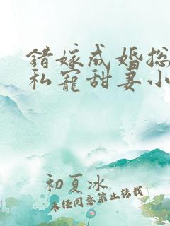 错嫁成婚总裁的私宠甜妻小说