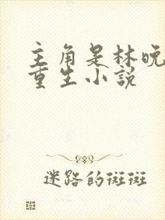 主角是林晚晚的重生小说