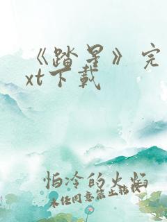 《踏星》完本txt下载