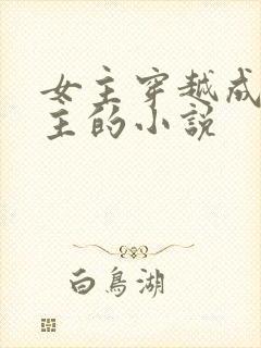 女主穿越成九公主的小说