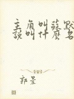 主角叫苏默的小说叫什么名字