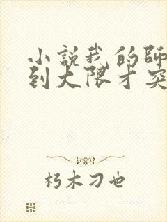 小说我的师傅每到大限才突破最新章节