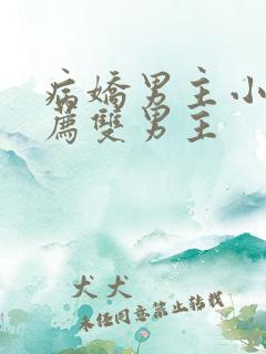 病娇男主小说推荐双男主