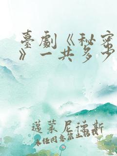 台剧《秘密关系》一共多少集