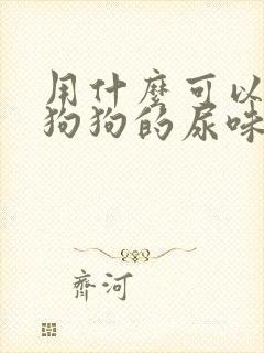 用什么可以去除狗狗的尿味