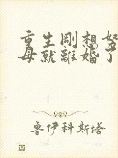 重生刚想努力父母就离婚了短剧免费观看