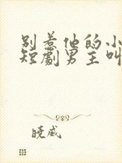 别惹他的小可怜短剧男主叫什么