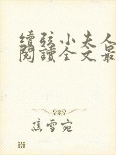 续弦小夫人免费阅读全文最新