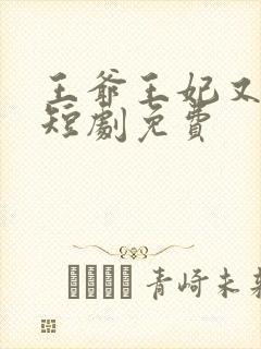 王爷王妃又演上短剧免费