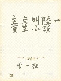 主角叫陆一鸣的重生小说