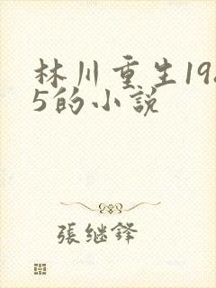林川重生1985的小说