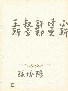 王叔许晴小说最新章节更新时间