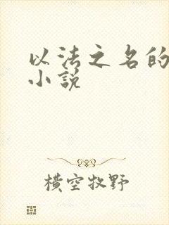 以法之名的原著小说