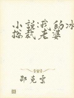 小说:我的冰山总裁老婆