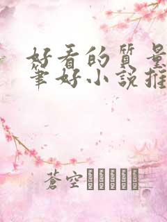 好看的质量高文笔好小说推荐