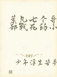 叶凡七个哥哥全部战死的小说名