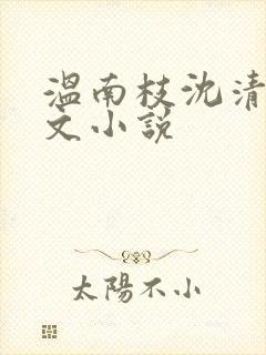 温南枝沈清宴全文小说