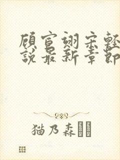 顾宣翊宋轻棠小说最新章节免费阅读