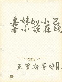 妻妹by小己原著小说在线阅读