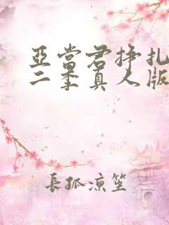 亚当君挣扎吧第二季真人版在线观看