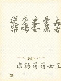 逆袭之爱上情敌柴鸡蛋原著小说