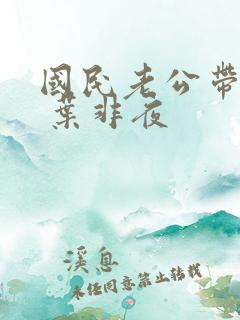 国民老公带回家 叶非夜