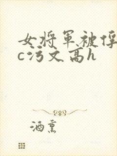 女将军被俘后被c污文高h
