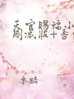 天官赐福小说无删减版+番外