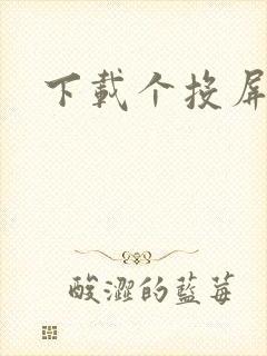 下载个投屏神器