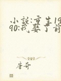 小说:重生1990:我娶了前妻闺蜜