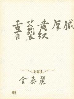 舌苔黄厚腻中间有裂纹