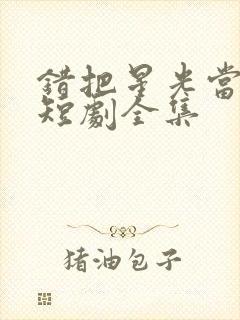 错把星光当烟火短剧全集