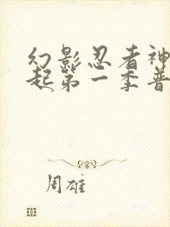 幻影忍者神龙崛起第一季普通话