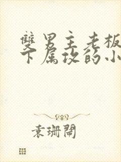 双男主老板受和下属攻的小说