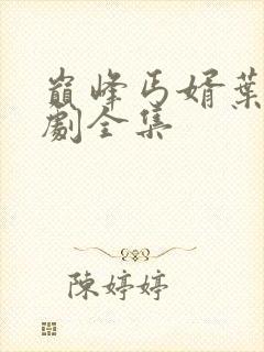 巅峰丐婿叶辰短剧全集