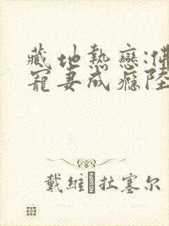 藏地热恋:佛子宠妻成瘾陆芊芊大结局哪里