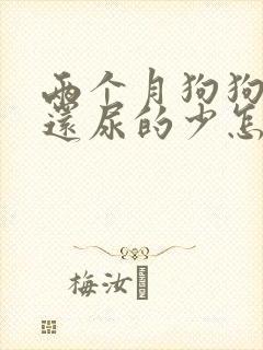 两个月狗狗尿频还尿的少怎么办