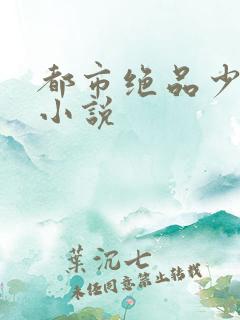 都市绝品少帅 小说