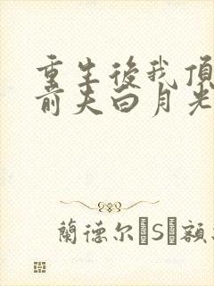 重生后我顶替了前夫白月光免费听书