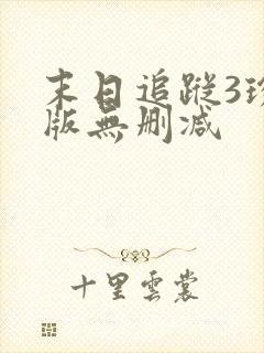 末日追踪3珍藏版无删减