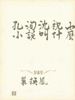 孔洵沈祝山原著小说叫什么