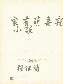 家有萌妻宠上天 小说