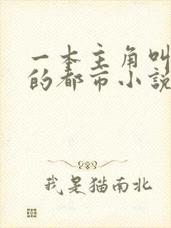 一本主角叫叶欢的都市小说