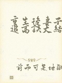 重生后妻子开车追高铁大结局