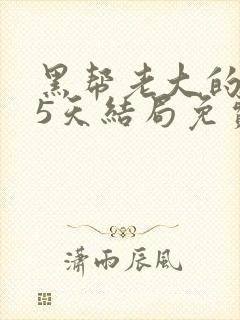 黑帮老大的365天结局免费观看全集